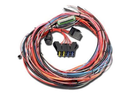Universalus programuojamas EMS-4 diržas AEM ELECTRONICS